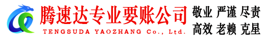 东西湖清债公司